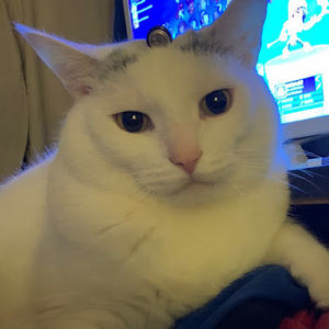 Meet your Posher, Graham